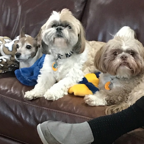 Meet your Posher, Renee - Picture 2 of 2